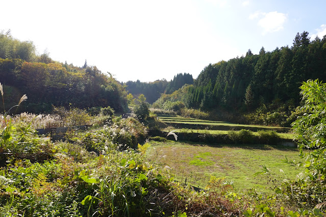 鳥取県西伯郡南部町池野 山道