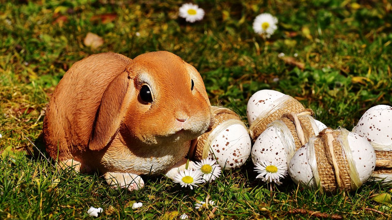 Wallpaper Easter Rabbit Eggs