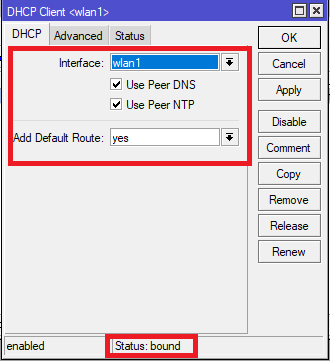 setting dhcp client
