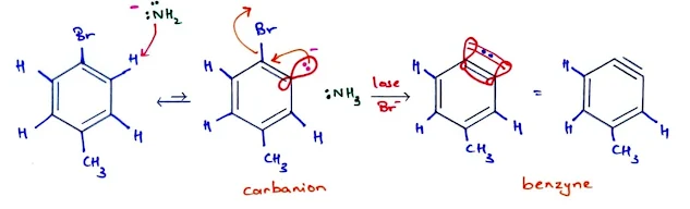 benzyne mechanism