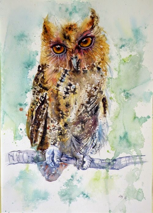 Anna Brigitta Kovács deviantart pinturas aquarelas animais cores