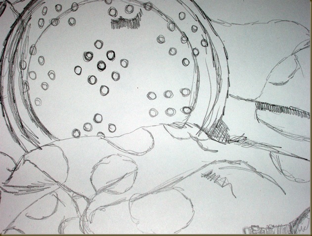 100 drawings drawing one detail three_picnik