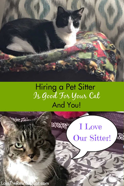 pet sitters|pet sitters international