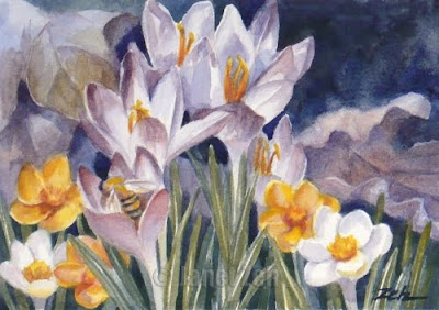 Crocus and Honey Bee watercolor by Janet Zeh