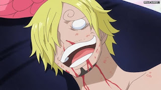 ワンピースアニメ 魚人島編 528話 サンジ | ONE PIECE Episode 528