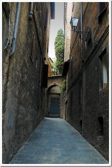 siena_25_2004
