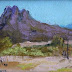 Scottsdale Backyard Southwest Landscape Paintings by Arizona Artist Amy Whitehouse