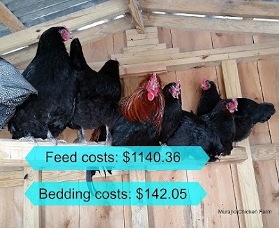 How much does it cost to keep chickens?