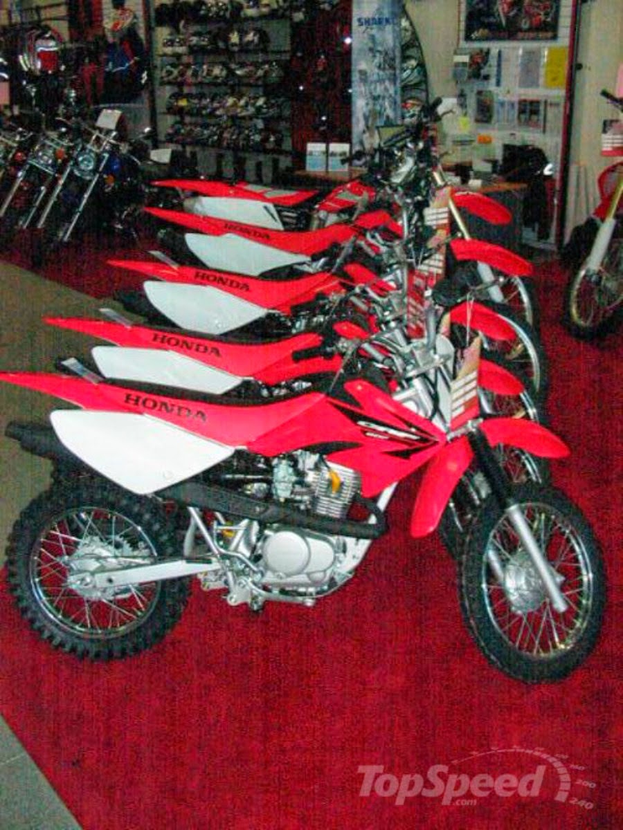 2013 CRF100F Overview