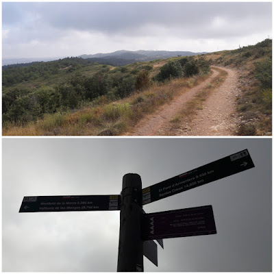 GR-175 Ruta del Cister, Santes Creus a Rocafort de Queralt, camí a la Serra de Comaverd, dins de la comarca de la Conca de Barberà i al municipi de Sarral