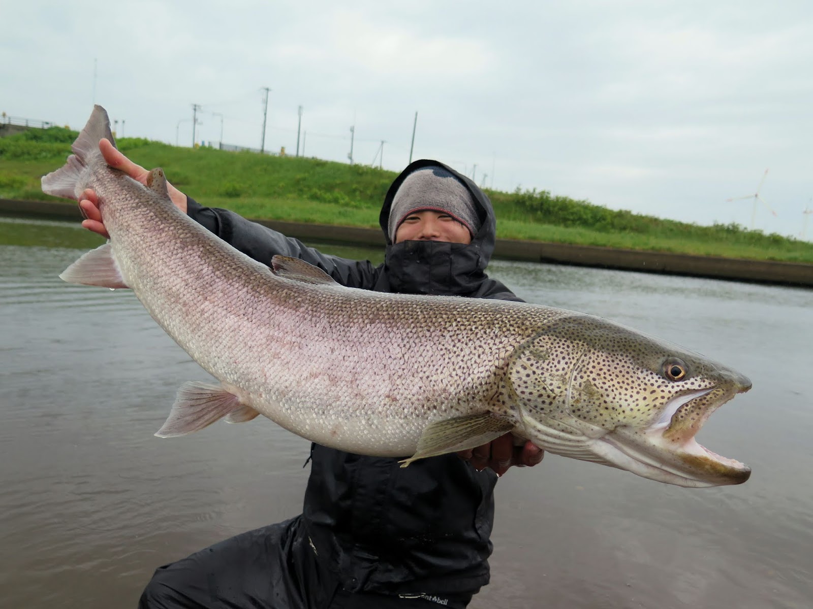 Angling Monster サケ釣りの餌づくりその２