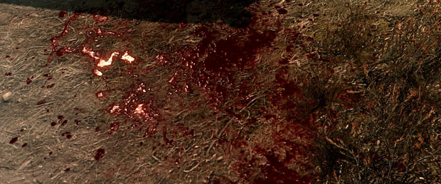 Skyrim Mod Enhanced Blood Textures