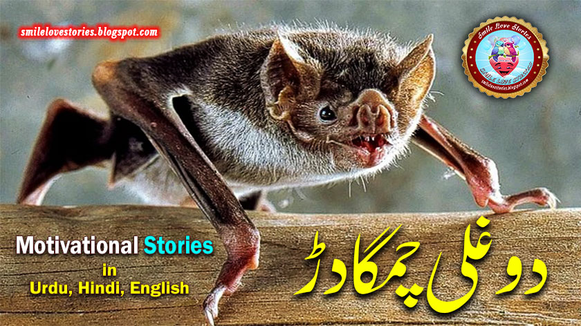 motivational stories, motivational stories in Urdu, motivational story in Hindi, motivational story in English, true motivational stories, short motivational stories, motivational story in Hindi for success, best motivational story, moral stories in Urdu, moral stories in Urdu for reading, smile stories, smile stories dental clinic, smile direct success stories, smile direct horror stories, smile direct club horror stories,