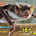 Motivational Stories in Urdu, Hindi and English | A Two-Faced and Deceitful Bat