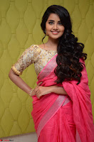 Anupama Parameswaran in Saree ~  Exclusive 002.jpg