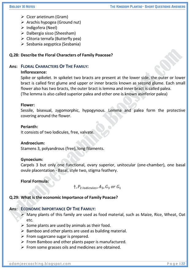 kingdom-plantae-short-question-answers-biology-11th