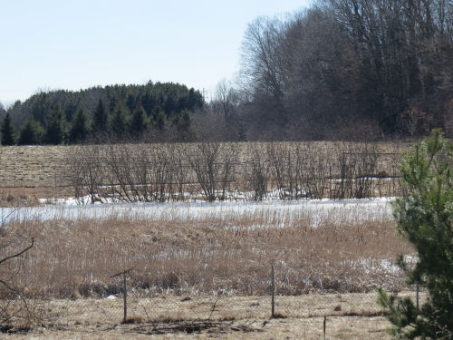 small wetland with shining water