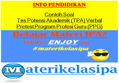 Contoh Soal Tes Potensi Akademik Verbal PPG (Sinonim, Antonim, dan Analogi) Beserta Jawabannya