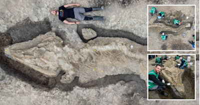 Rare 180 million-year-old ‘Sea Dragon’ fossil found after lagoon drained in UK