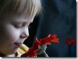 images (11)