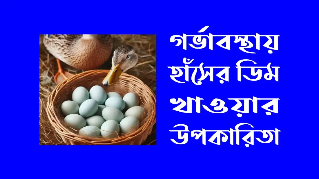 গর্ভাবস্থায়-হাঁসের-ডিম-খাওয়া-যাবে-কি