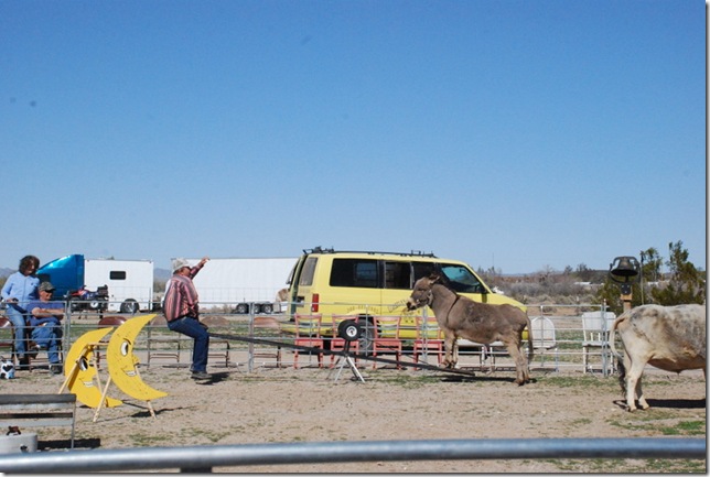 02-28-13 A Cutler Show in Bouse 045