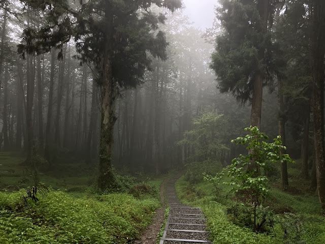 嘉義,阿里山,眠月線,沼平車站