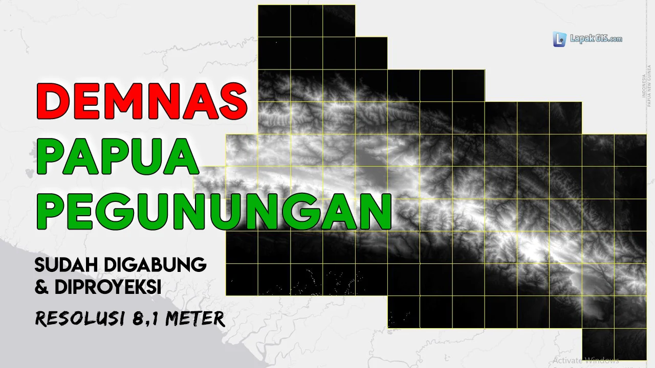 DEM Nasional (DEMNAS) Provinsi Papua Pegunungan Terbaru