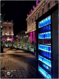 NANCY (54) - Photos nocturnes du jardin éphémère de la Place Stanislas 2019 !