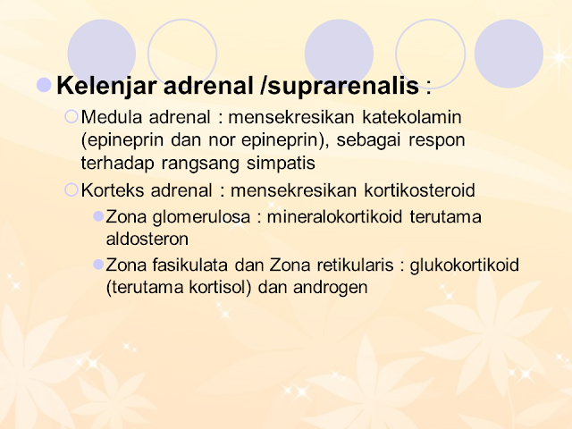 Kelenjar Adrenal/Suprarenalis