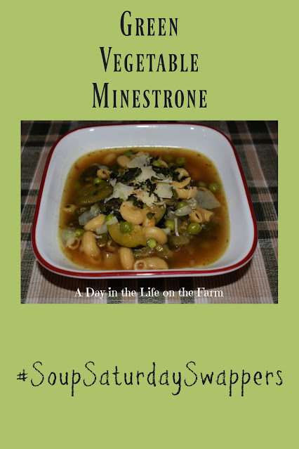 Green Vegetable Minestrone pin