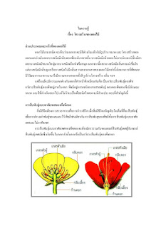   ส่วนประกอบของดอก, หน้าที่ของกลีบดอก, ส่วนประกอบของดอกกุหลาบ, ส่วนประกอบของดอกกล้วยไม้, หน้าที่ของออวุล, กลีบเลี้ยงทําหน้าที่อะไร, ส่วนประกอบของดอกชบา, ส่วนประกอบของดอกไม้ ภาษาอังกฤษ, ส่วนประกอบของดอกเข็ม