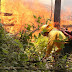 El viento, principal factor que complica el combate de los incendios forestales