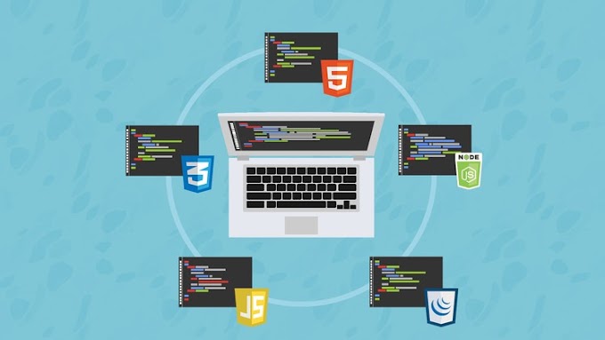 The Web Developer Bootcamp @Udemy