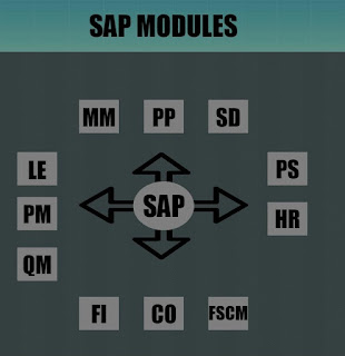 Introduction of SAP