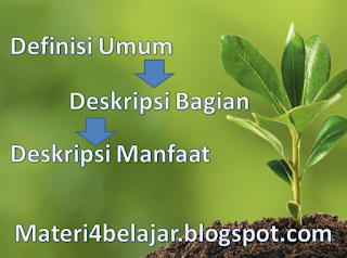 Pengertian dan Contoh Definisi Umum, Deskripsi Bagian 