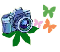 paintscatto
