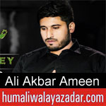 https://www.humaliwalayazadar.com/2020/01/ali-akbar-ameen-ayyam-e-fatima-noha-2020.html