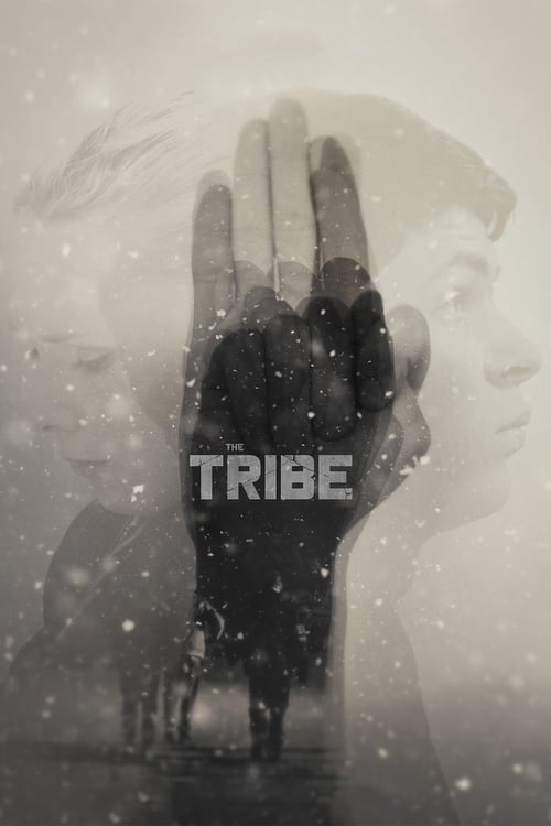 Descargar The Tribe 2014 Blu Ray Latino Online