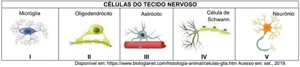 upe-2020-1-fase-2-dia-imagem_05