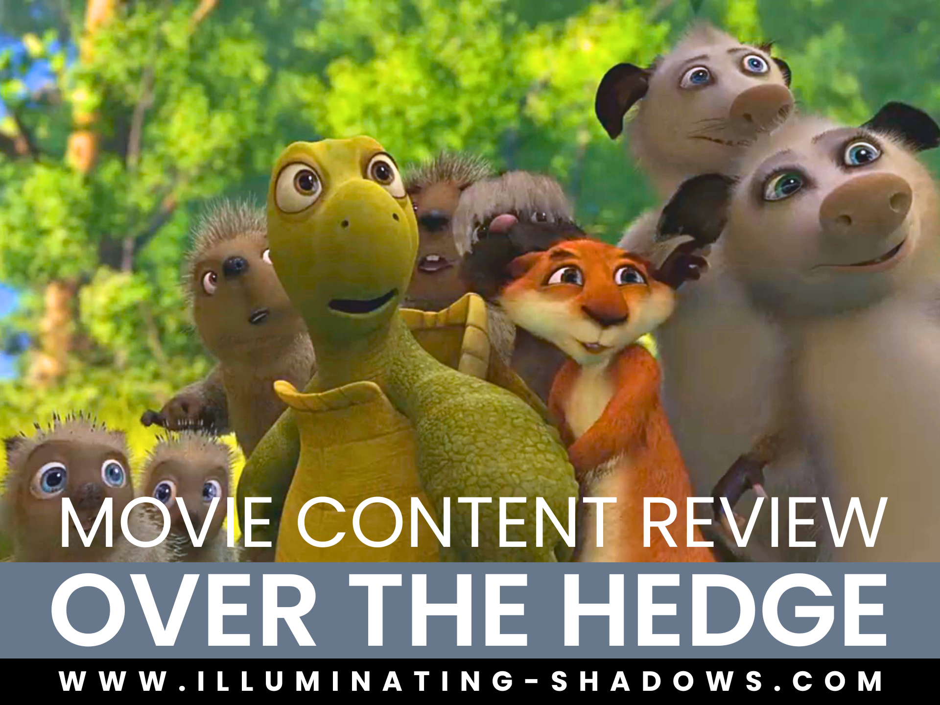 Over The Hedge - Movie Content Review - Picture of the family including Verne, Hammy, Stella and Ozzie