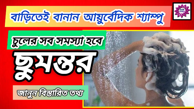 Make Ayurvedic Shampoo At Home