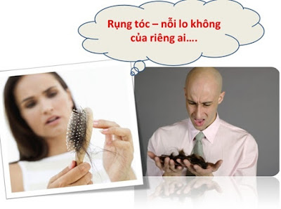 Nguyên nhân gây rụng tóc ở nam và nữ giới có thể bạn chưa biết-https://www.phunuvacuocsong.info/