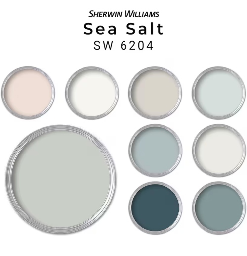 Sea Salt Color Palette Guide and Shopping