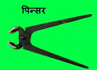 पिन्सर