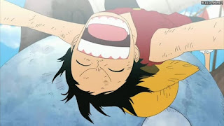 ワンピース アニメ エニエスロビー編 311話 ルフィ Monkey D. Luffy | ONE PIECE Episode 311 Enies Lobby