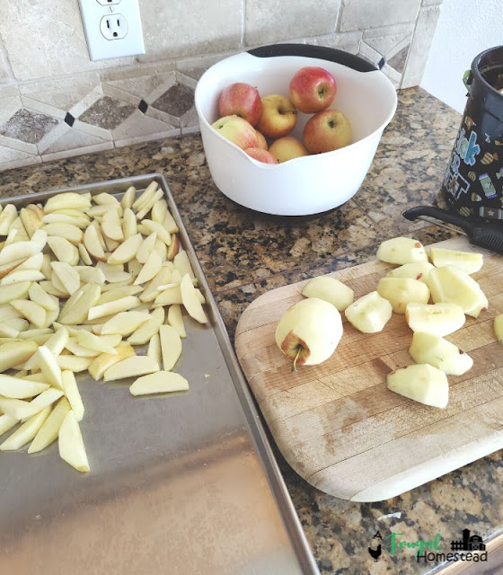 freeze drying apples