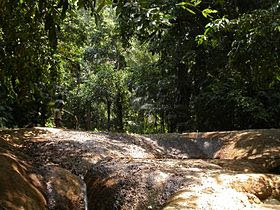 Taman nasional ujung kulon 