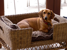 Our Mascot Daisy