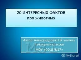 интересные факты